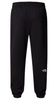 Spodnie dresowe męskie The North Face M ESSENTIAL JOGGER czarne S
