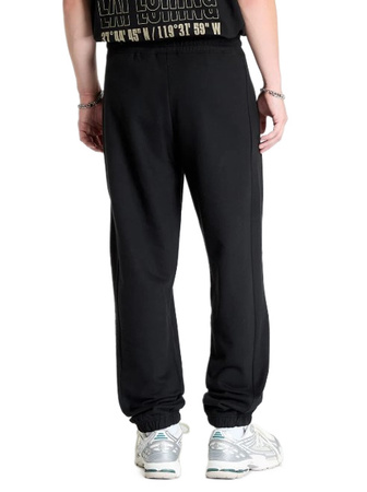 The North Face M COORDINATES PANT