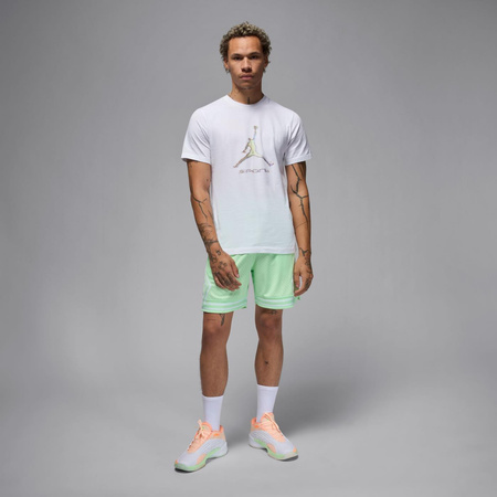 Koszulka męska NIKE Jordan Sport