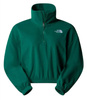 The North Face W 100 GLACIER HALF ZIP