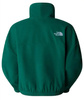 The North Face W 100 GLACIER HALF ZIP