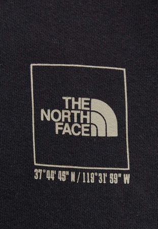 The North Face M COORDINATES HOODIE