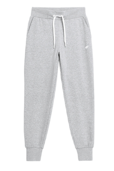 4F Spodnie dresowe AW23TTROF474-27M