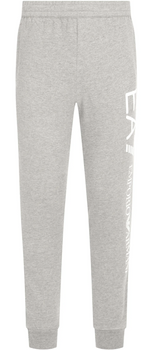 Spodnie dresowe męskie EMPORIO ARMANI szare rozm. S